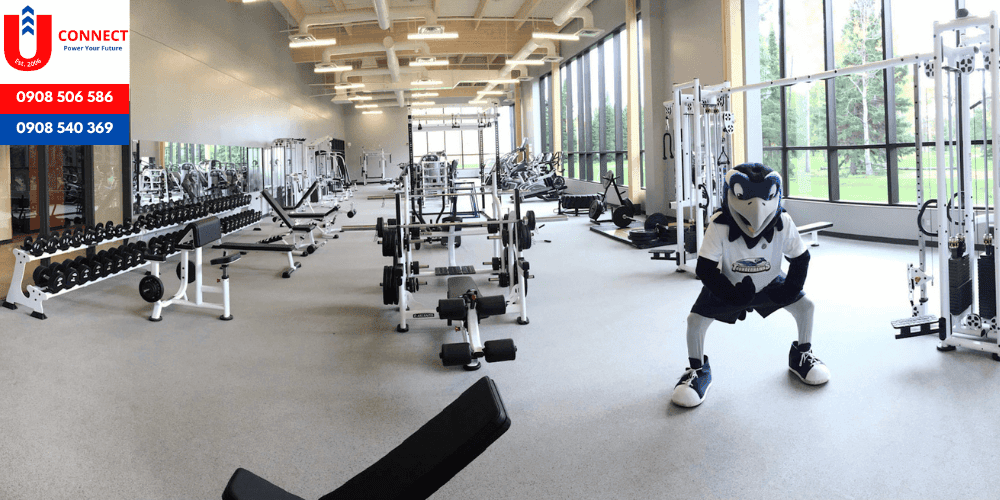 UCONNECT | Du Học - Du Lịch - Định Cư Mỹ, Úc, Canada, Anh, New Zealand và Các nước
