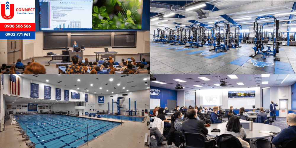 UCONNECT | Du Học - Du Lịch - Định Cư Mỹ, Úc, Canada, Anh, New Zealand và Các nước