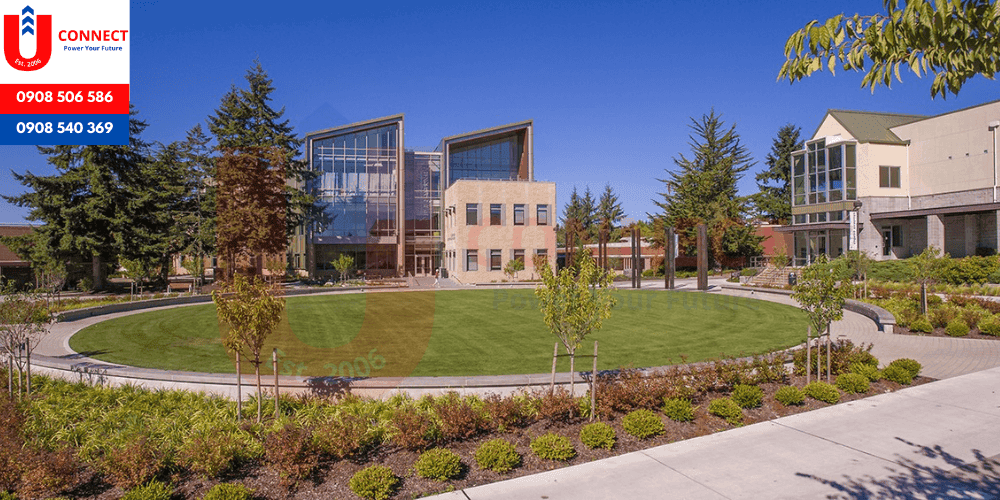UCONNECT | Du Học - Du Lịch - Định Cư Mỹ, Úc, Canada, Anh, New Zealand và Các nước