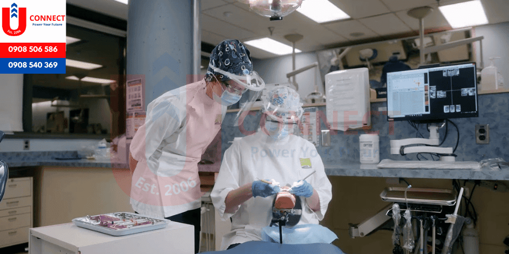UCONNECT | Du Học - Du Lịch - Định Cư Mỹ, Úc, Canada, Anh, New Zealand và Các nước