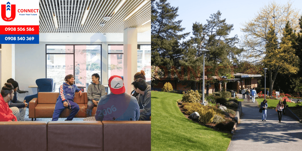 UCONNECT | Du Học - Du Lịch - Định Cư Mỹ, Úc, Canada, Anh, New Zealand và Các nước