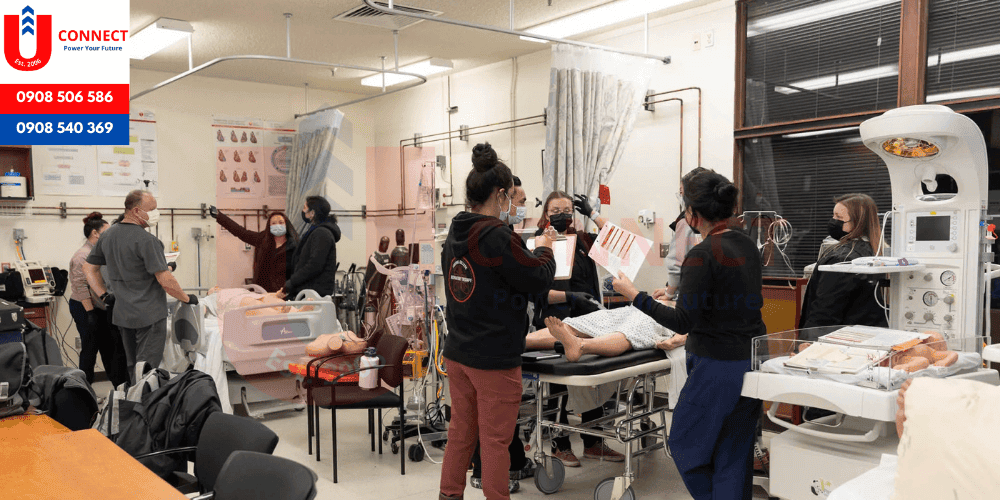 UCONNECT | Du Học - Du Lịch - Định Cư Mỹ, Úc, Canada, Anh, New Zealand và Các nước
