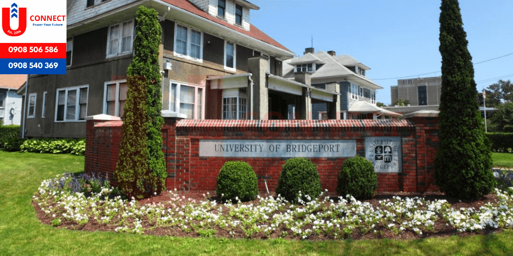UCONNECT | Du Học - Du Lịch - Định Cư Mỹ, Úc, Canada, Anh, New Zealand và Các nước