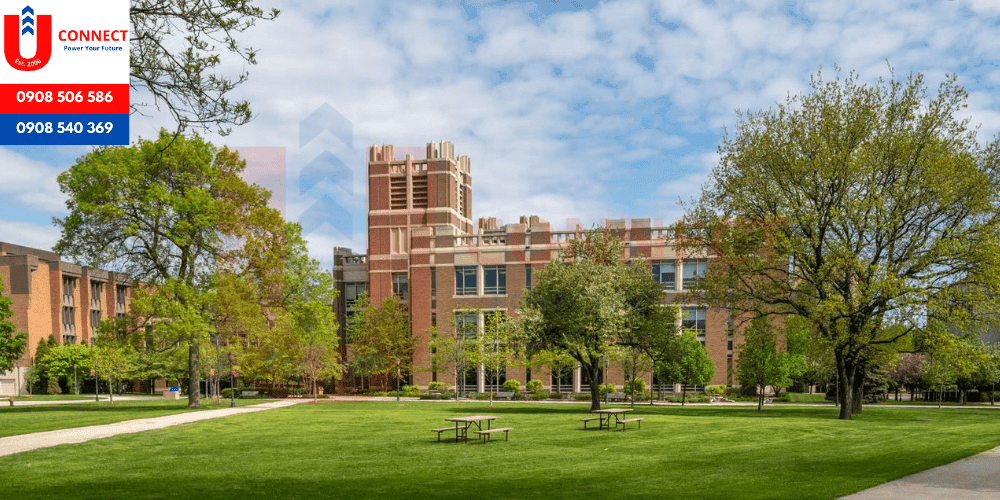 UCONNECT | Du Học - Du Lịch - Định Cư Mỹ, Úc, Canada, Anh, New Zealand và Các nước