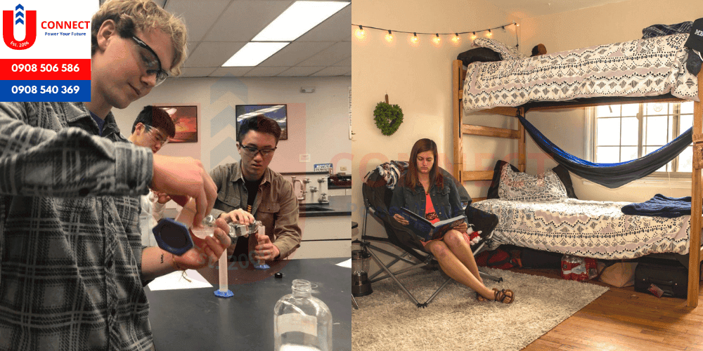 UCONNECT | Du Học - Du Lịch - Định Cư Mỹ, Úc, Canada, Anh, New Zealand và Các nước