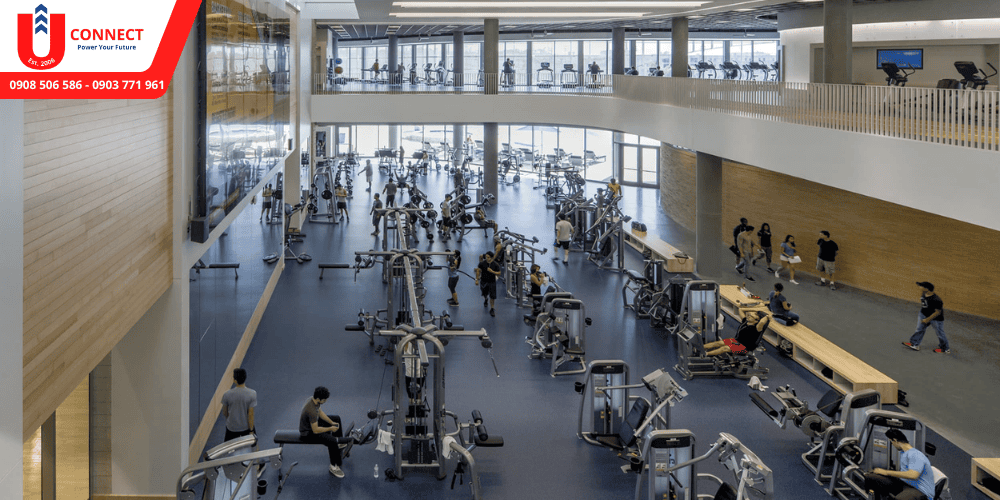 UCONNECT | Du Học - Du Lịch - Định Cư Mỹ, Úc, Canada, Anh, New Zealand và Các nước