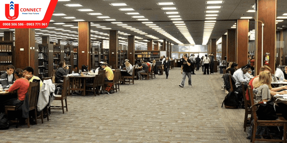 UCONNECT | Du Học - Du Lịch - Định Cư Mỹ, Úc, Canada, Anh, New Zealand và Các nước
