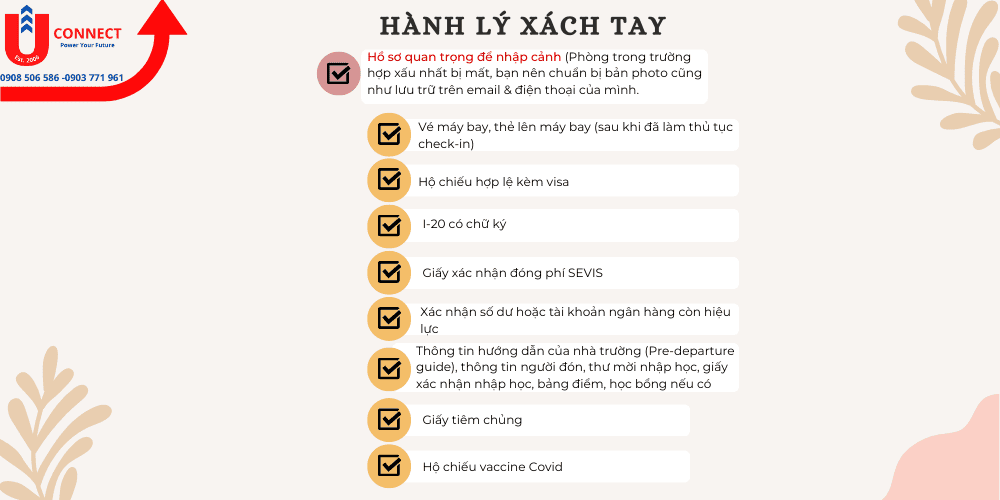 Mang gì khi đi du học Mỹ